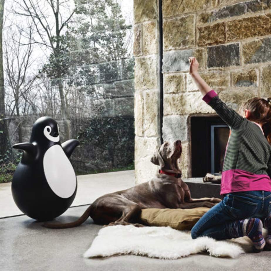 פינגווין PINGY