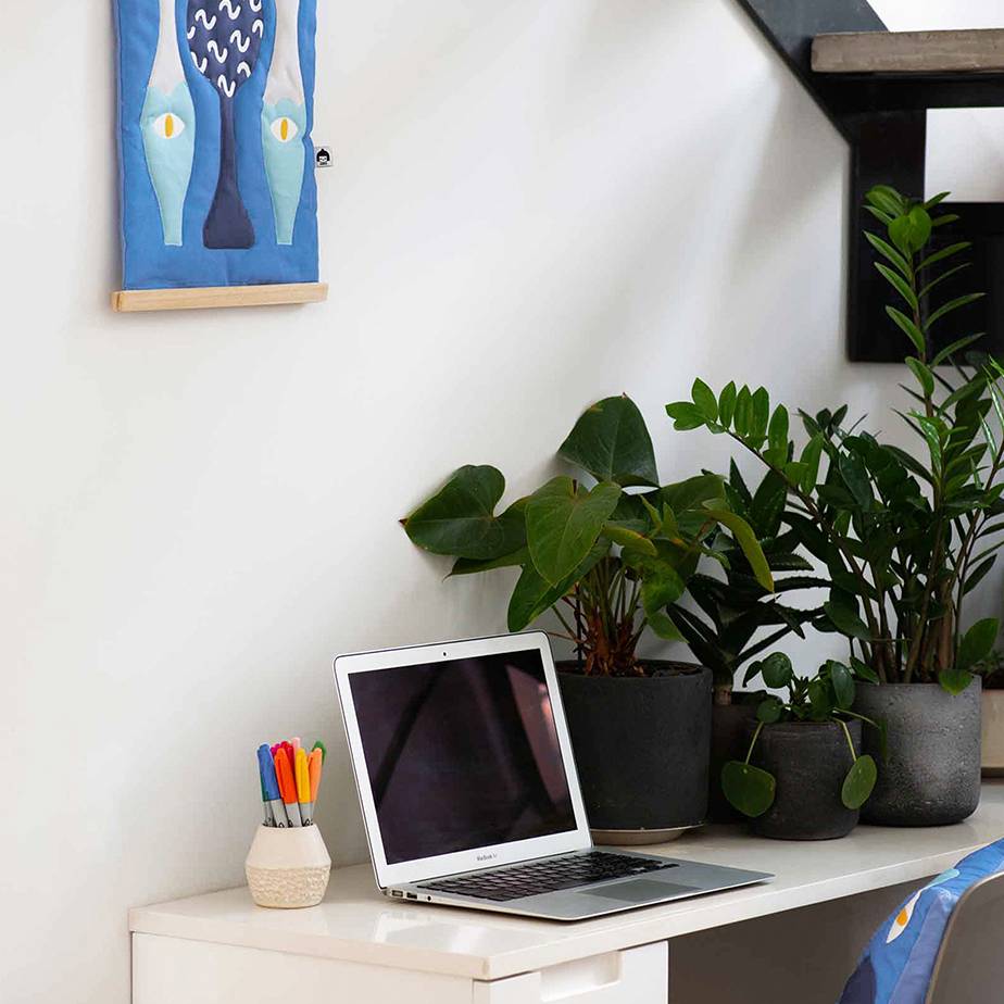 תמונת FIVE ELEMENTS WATER