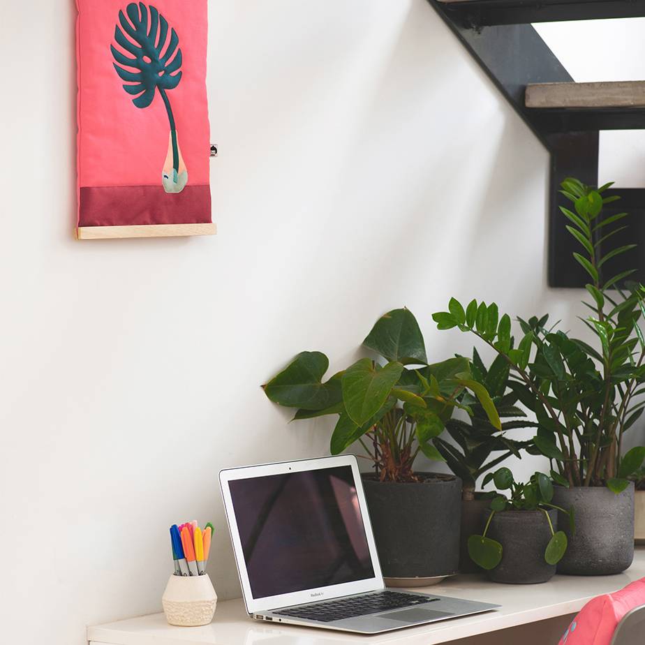 תמונת FIVE ELEMENTS FIRE