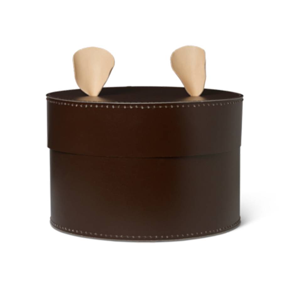 קופסת אחסון BEAR