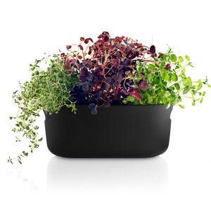 אדנית צמחי תבלין SELF WATERING