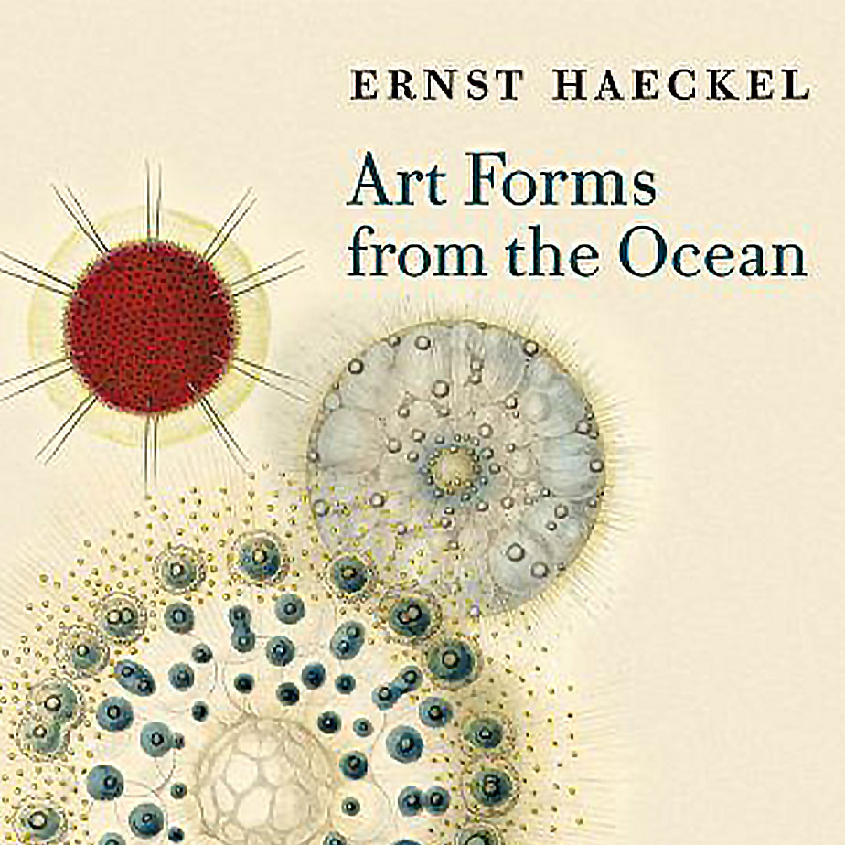 ספר ART FORMS FROM THE OCEAN