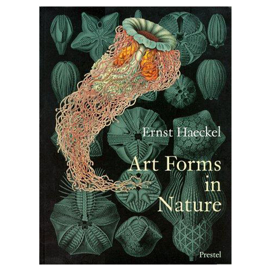 ספר ART FORMS IN NATURE