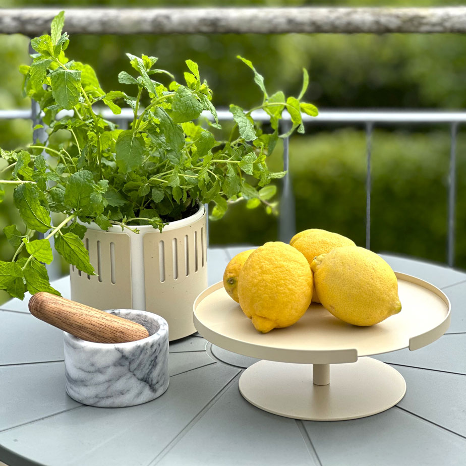 מעמד לעוגה BIG HUG