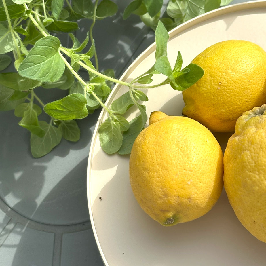 מעמד לעוגה BIG HUG