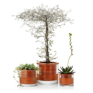 עציץ השקיה עצמית XS WET POT