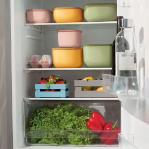 קופסת אחסון 450 ECO STORE&MORE