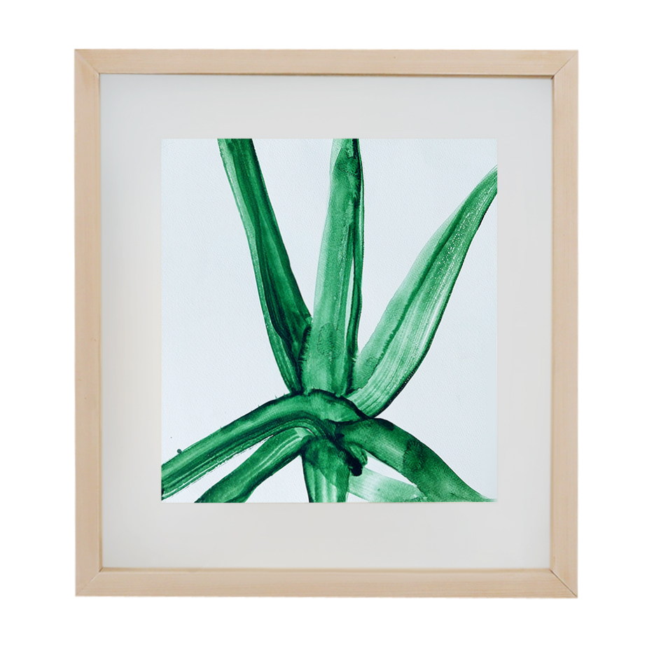 אלוורה מספר 2