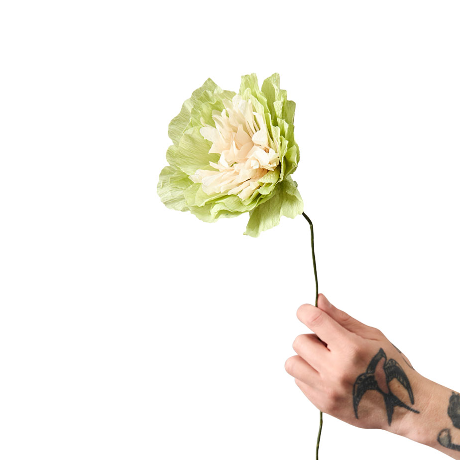 פרח נייר VEGGIE ROSE