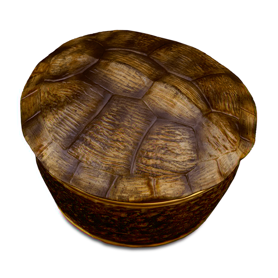 נר TURTLE