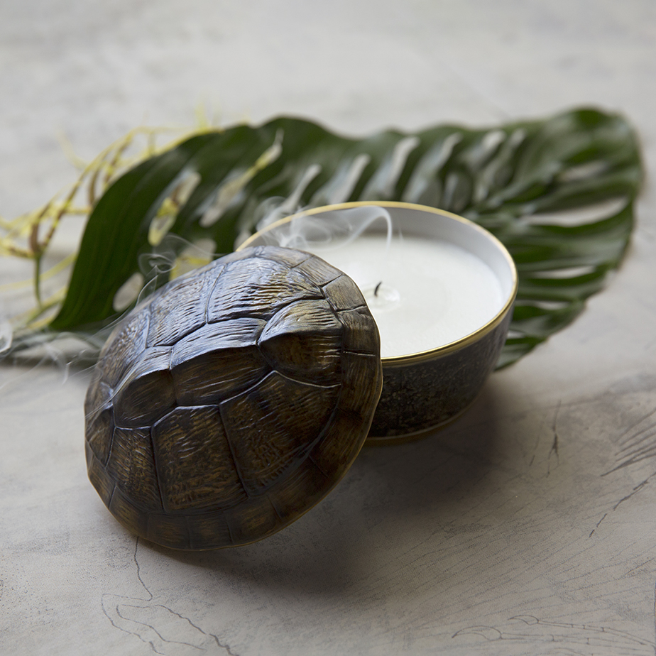 נר TURTLE