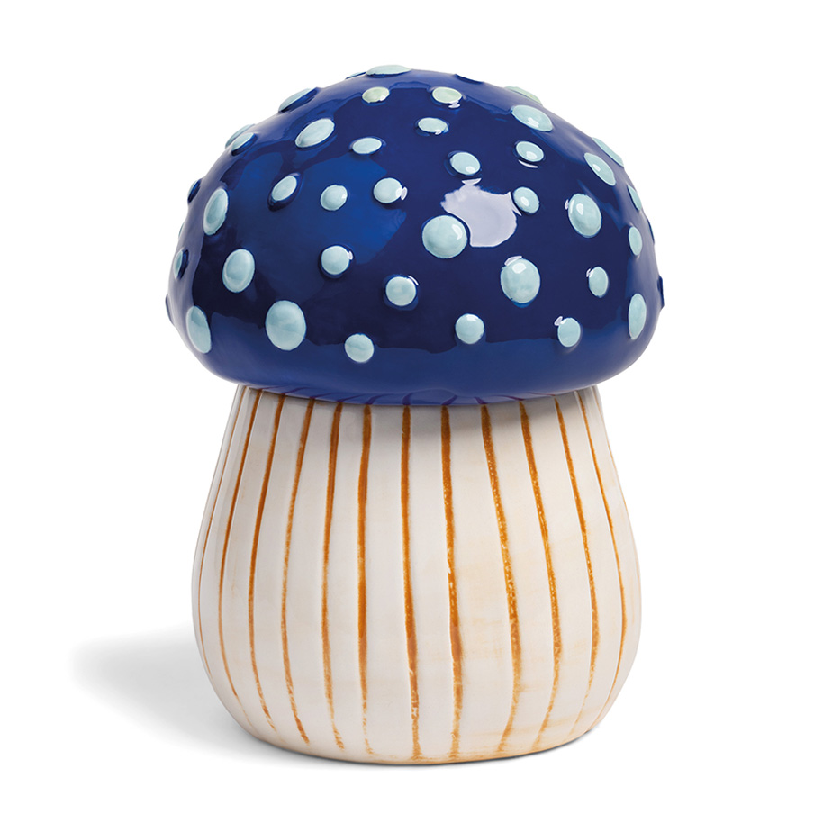 צנצנת MUSHROOM M