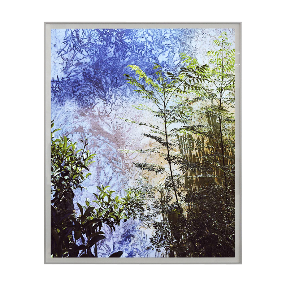 ללא כותרת (פרגמנט מתוך עבודה של רותם רשף)