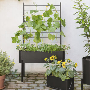 אדנית למרפסת BALCONY