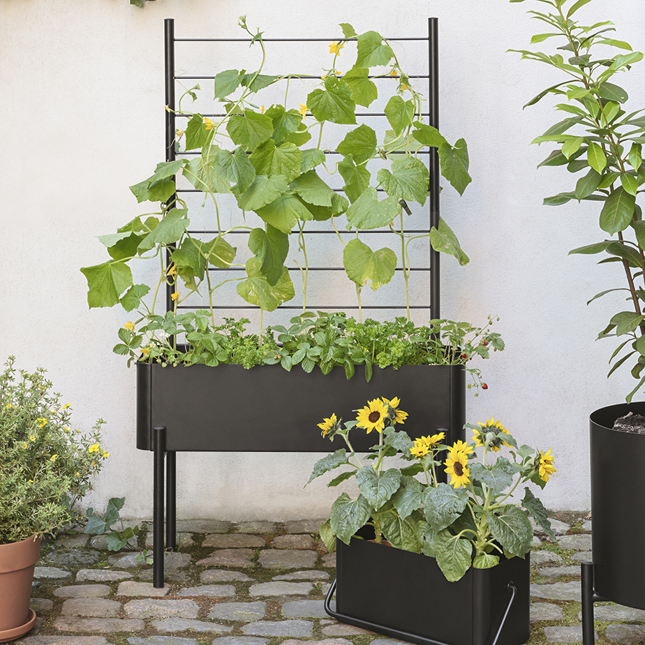 אדנית למרפסת BALCONY