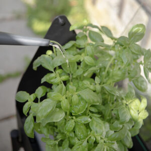 אדנית GREENHOUSE