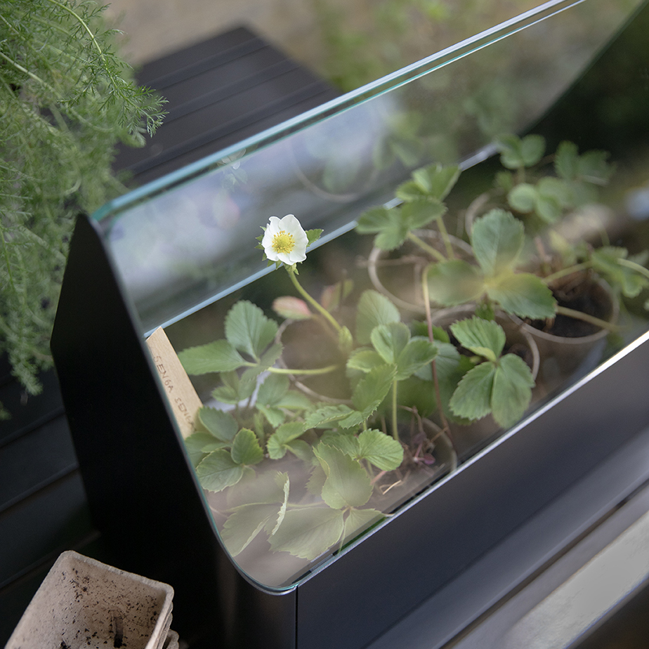 אדנית GREENHOUSE MINI