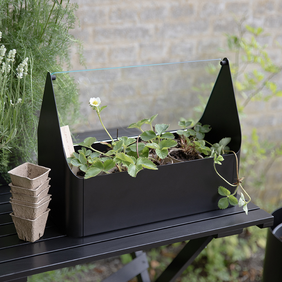 אדנית GREENHOUSE MINI