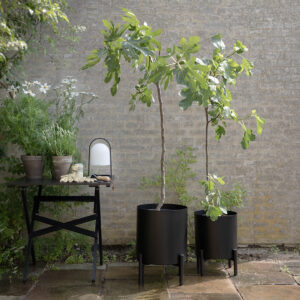 עציץ PLANT POT S