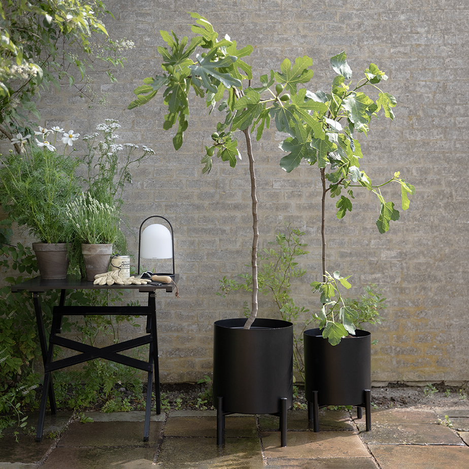 עציץ PLANT POT S