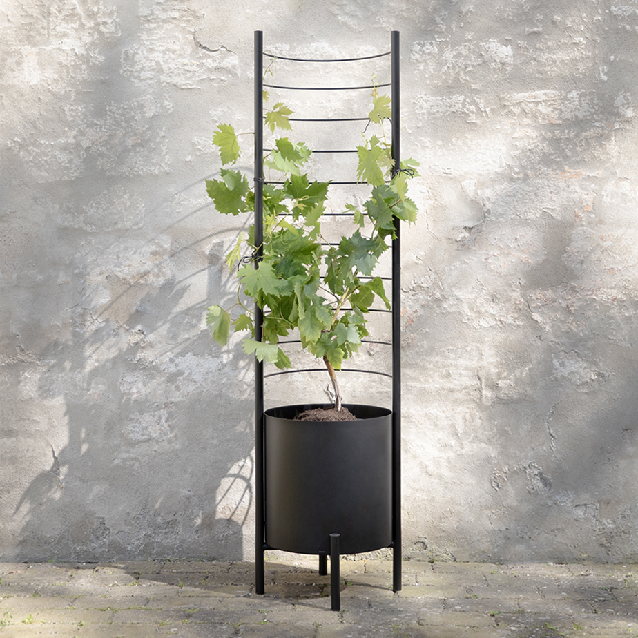 רשת תוספת לעציץ PLANT POT