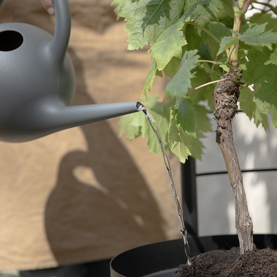רשת תוספת לעציץ PLANT POT