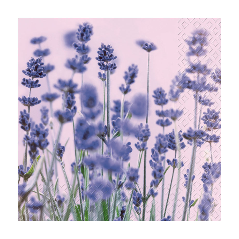מפיות VIOLET