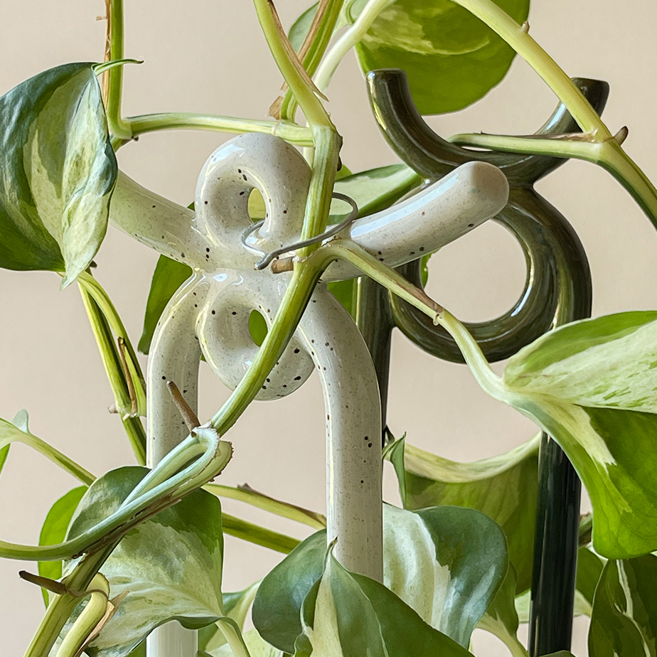 יתד לעציץ YUMA
