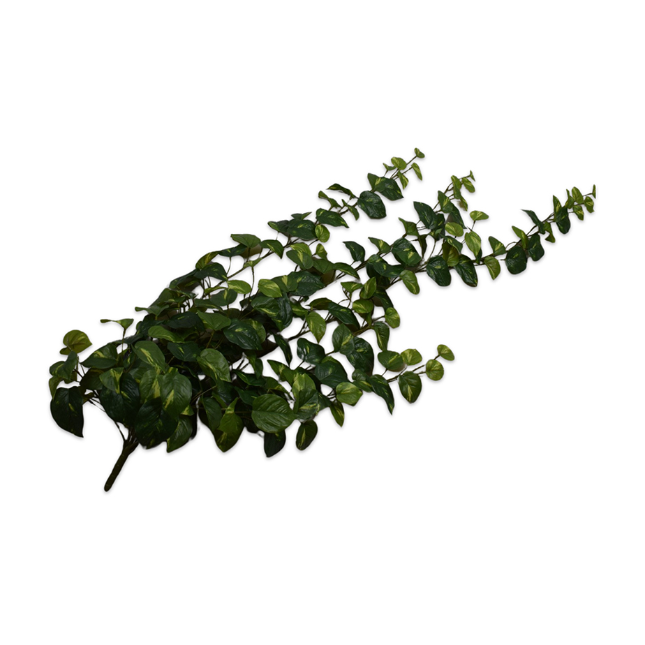 נשפך IVY 134