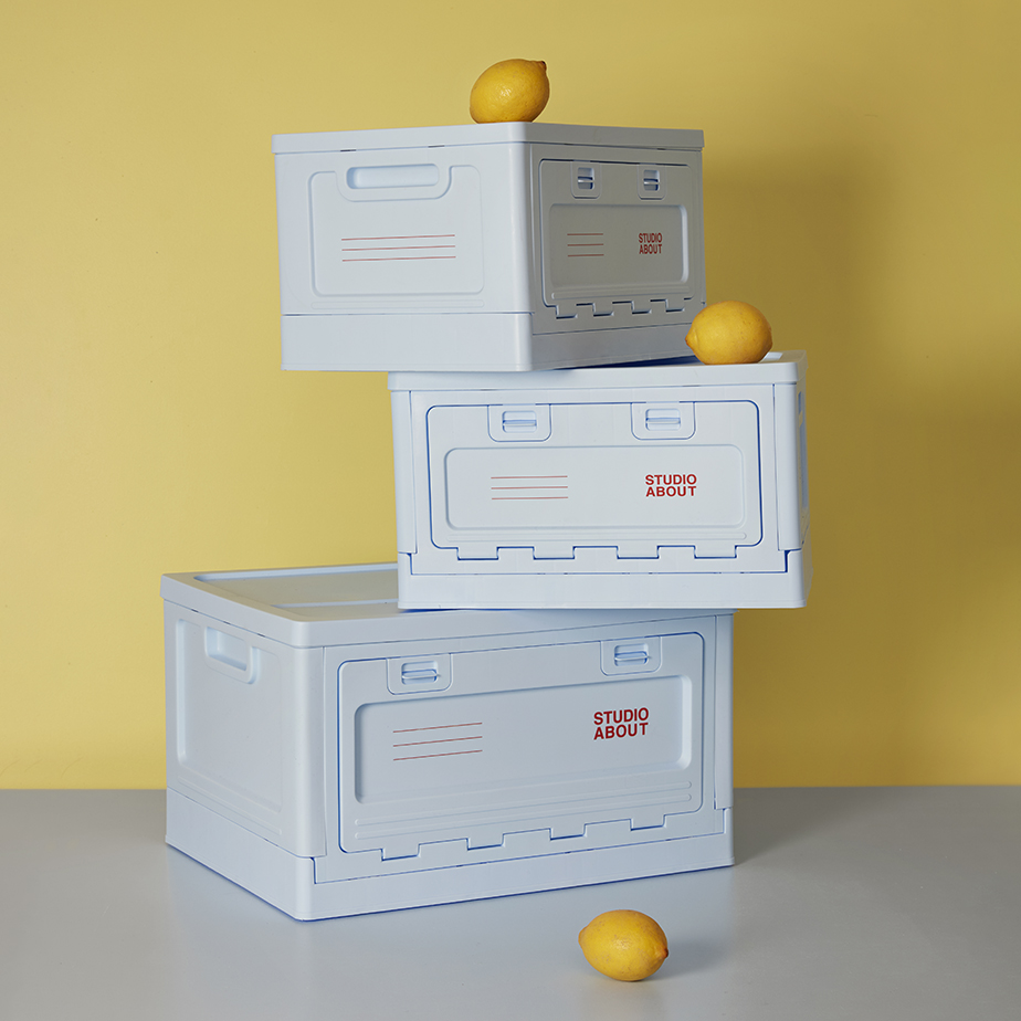 ארגז אחסון BOX L