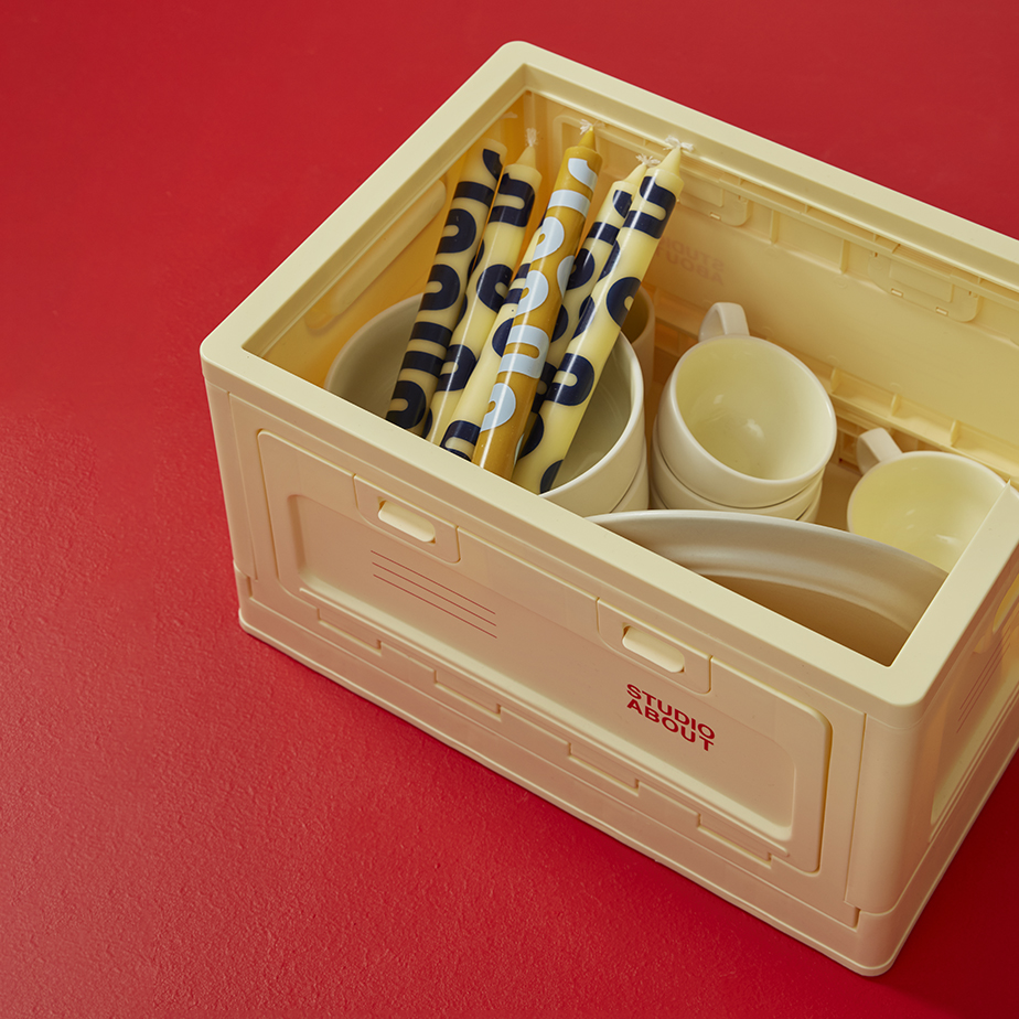 ארגז אחסון BOX L
