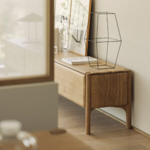 שידת טלויזיה PI