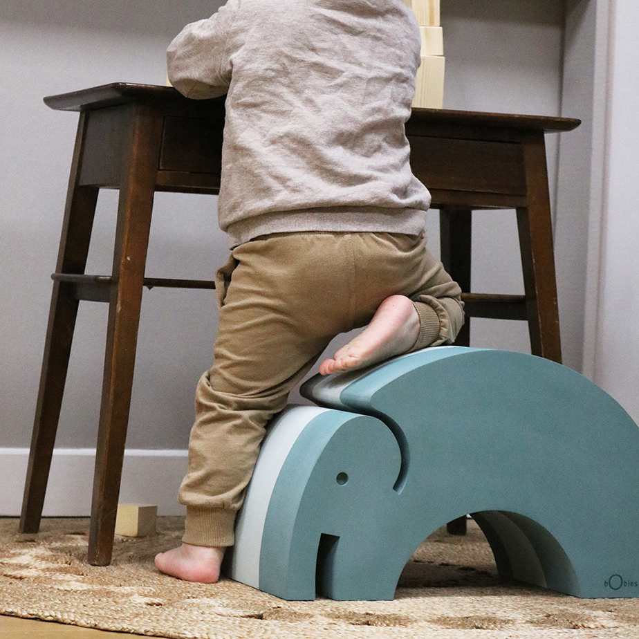 קשת פעילות ELEPHANT M