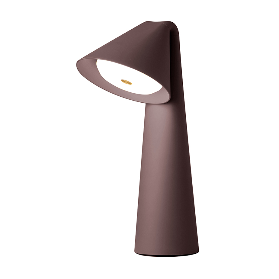 מנורה נטענת AMI