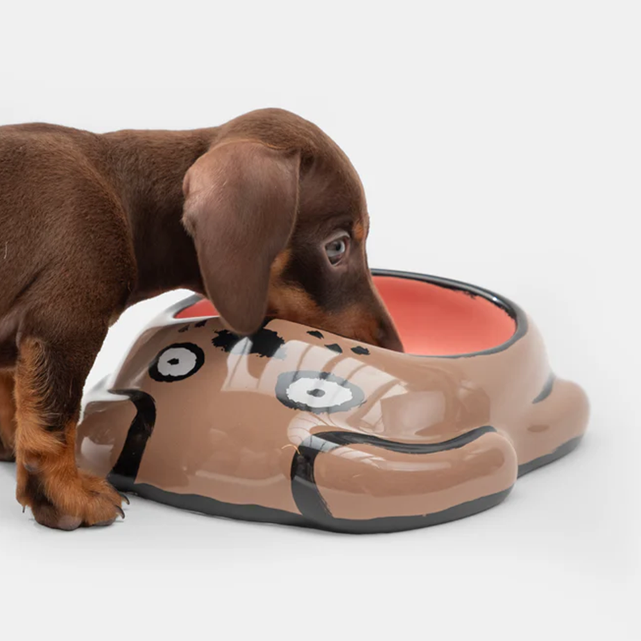 קערה לכלב JEAN JULLIEN