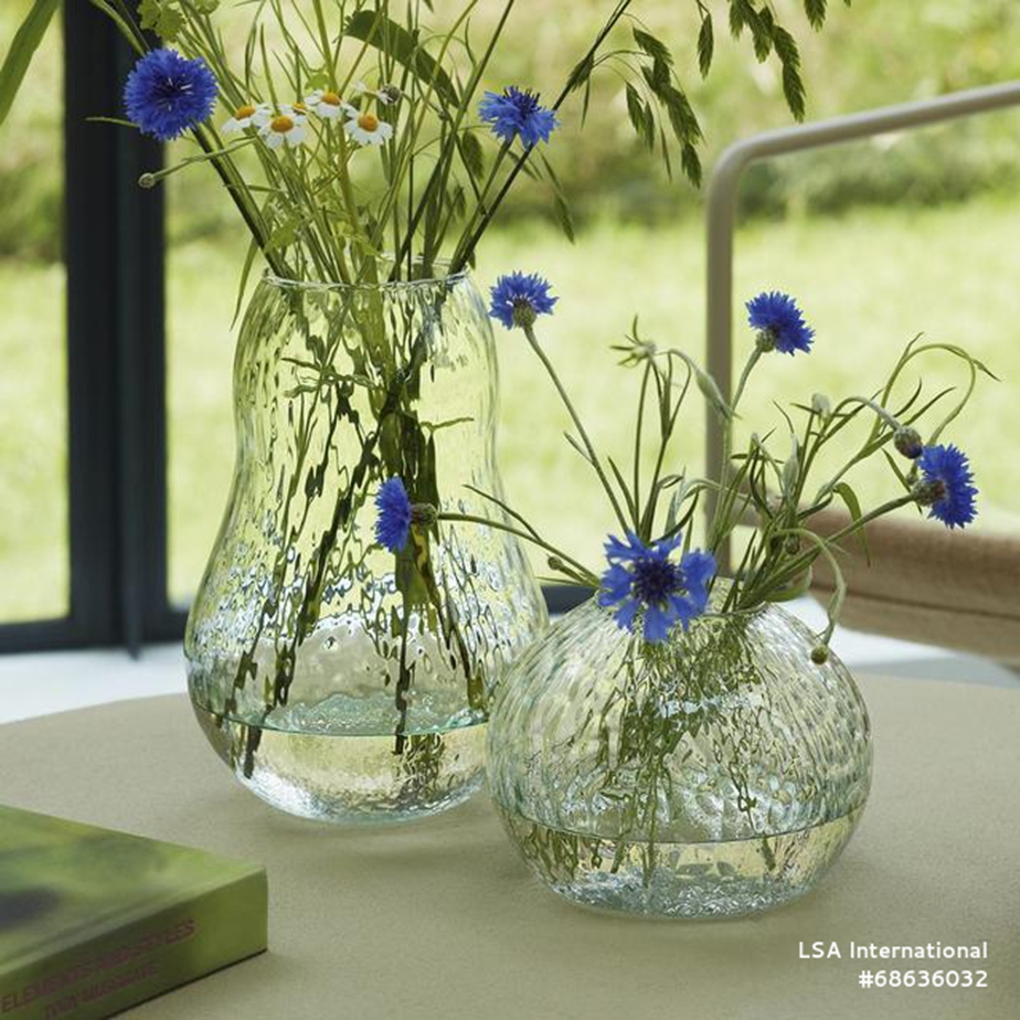 אגרטל CANOPY SEED H11