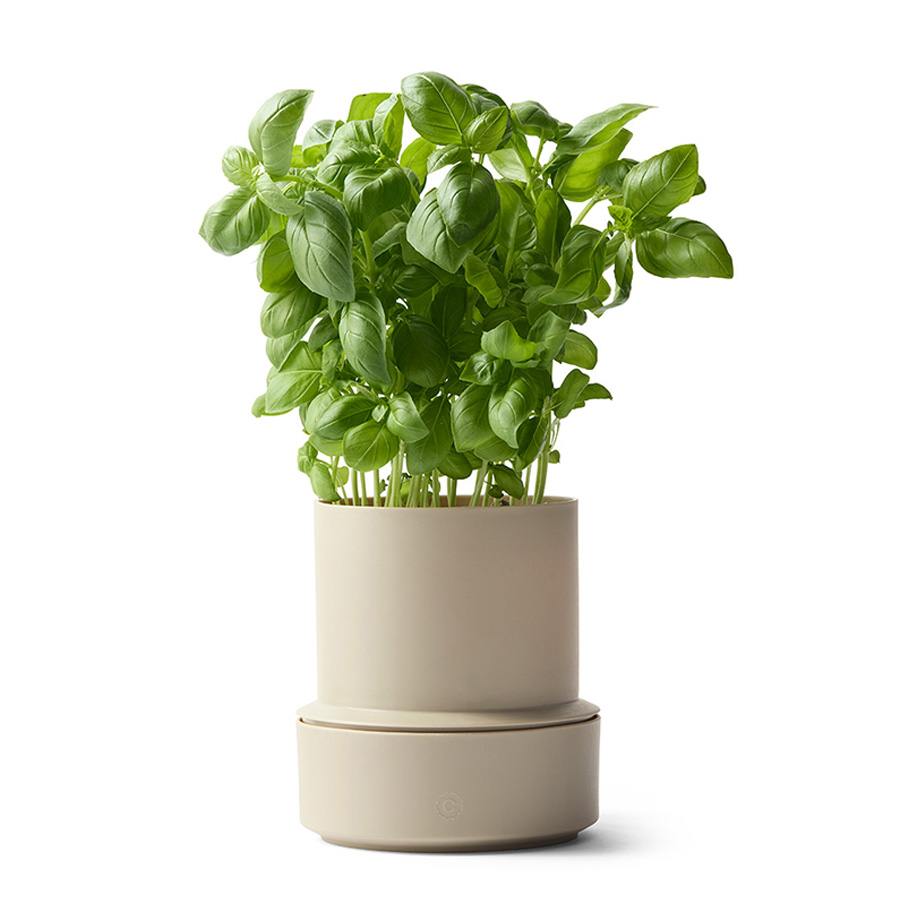 עציץ להשקייה עצמית BILLUND