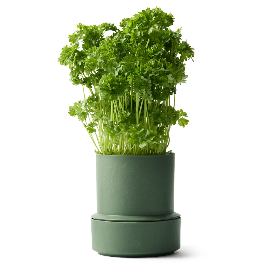 עציץ להשקייה עצמית BILLUND