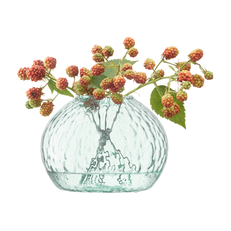 אגרטל CANOPY SEED H11