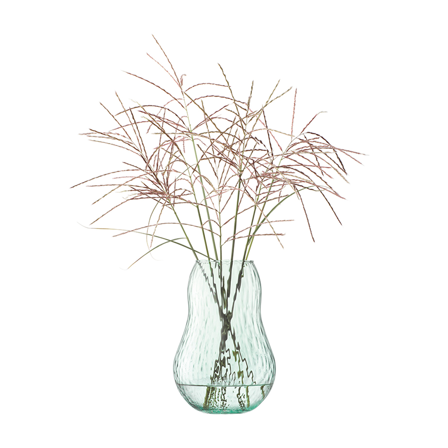 אגרטל CANOPY SEED 23H