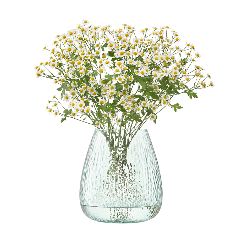 אגרטל CANOPY SEED H25