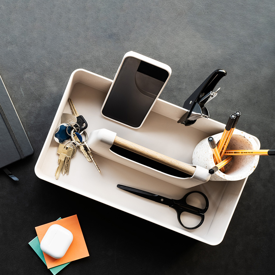 ארגונית BASEL