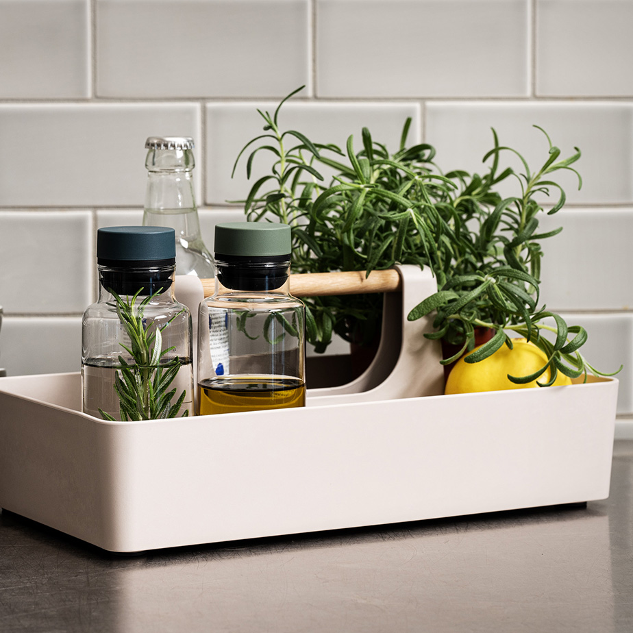 ארגונית BASEL