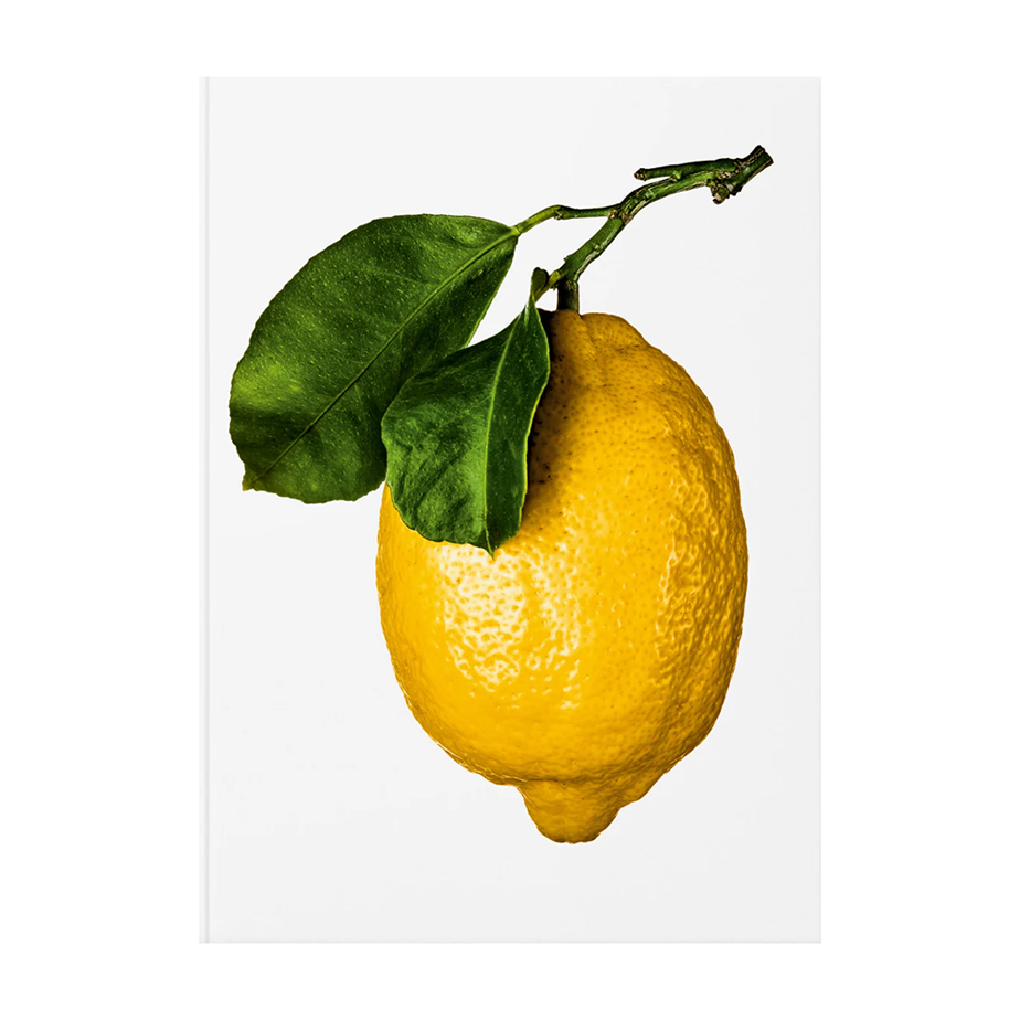 THE GOURMAND'S LEMON. A COLLECTION OF STORIES AND RECIPES ספר