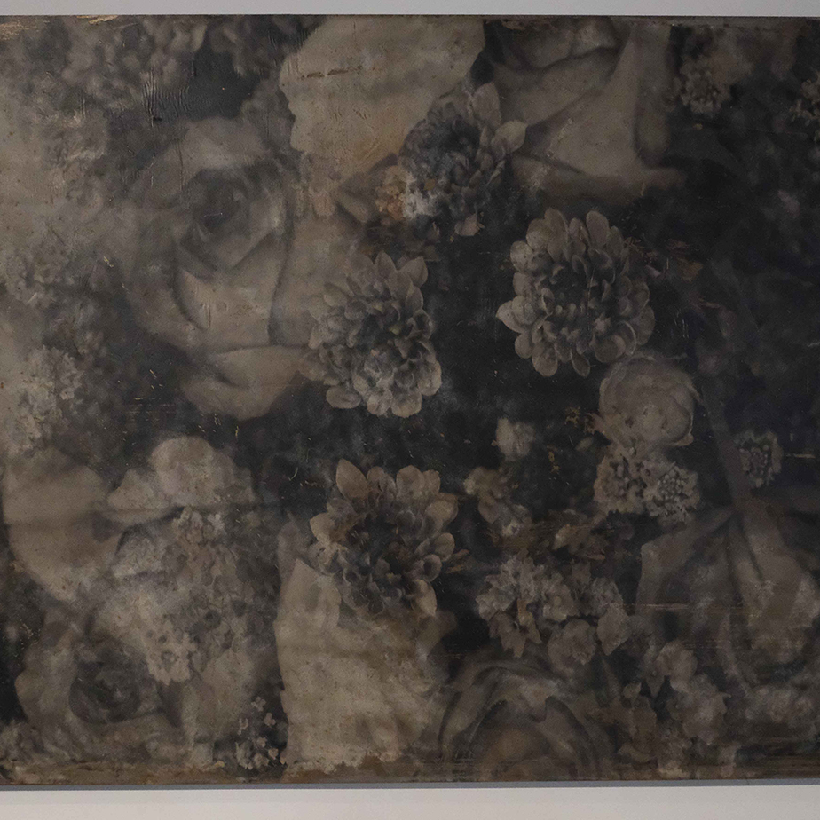 פרחים בשחור ולבן