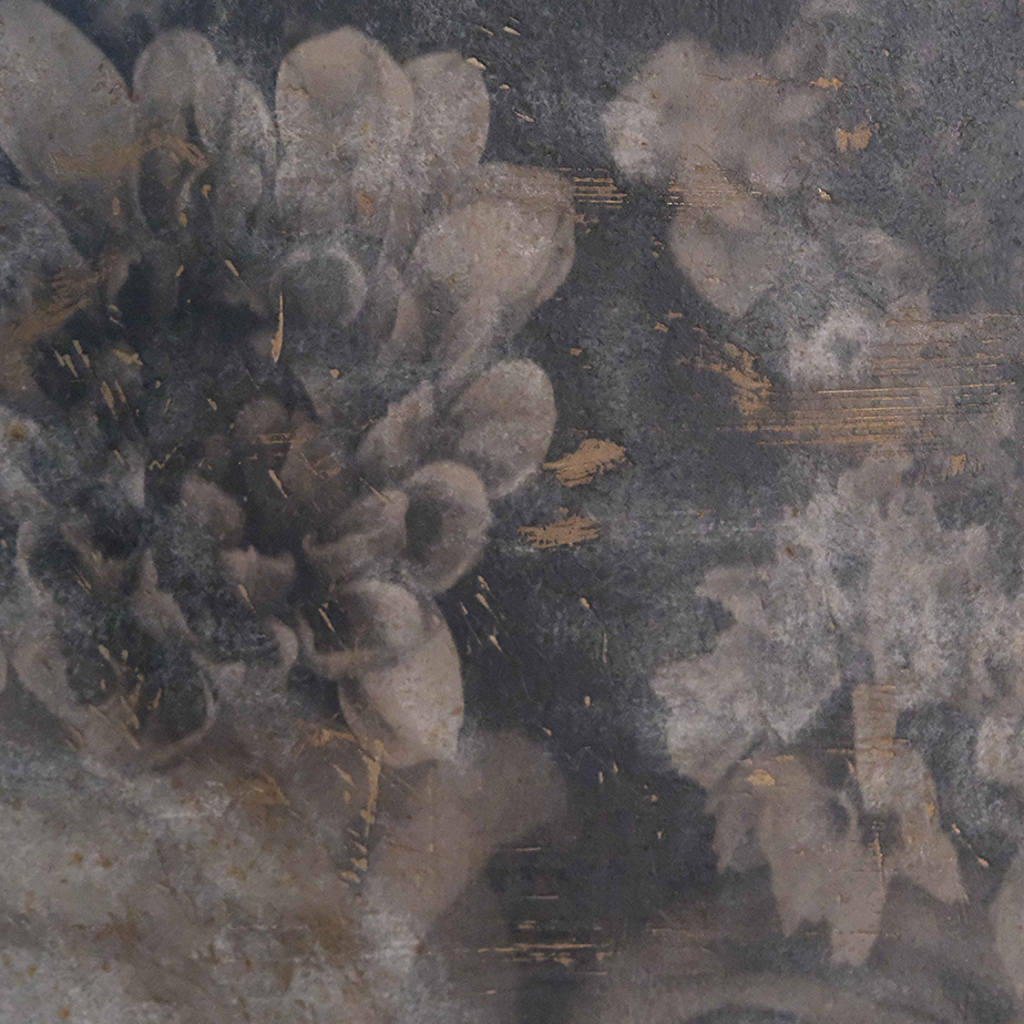 פרחים בשחור ולבן