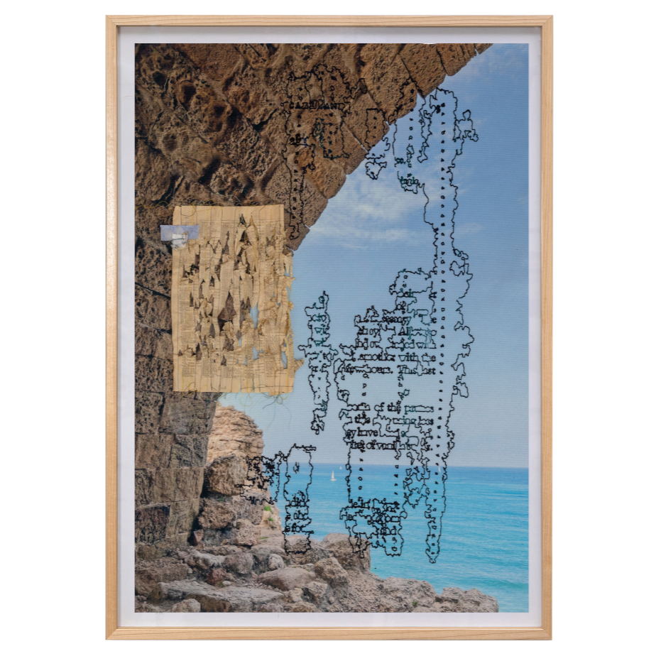 תמר ברניצקי