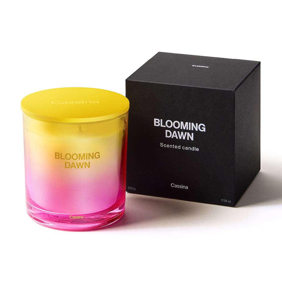 נר BLOOMING DAWN L