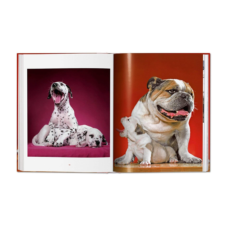 ספר DOGS. WALTER CHANDOHA. PHOTOGRAPHS 1941–1991