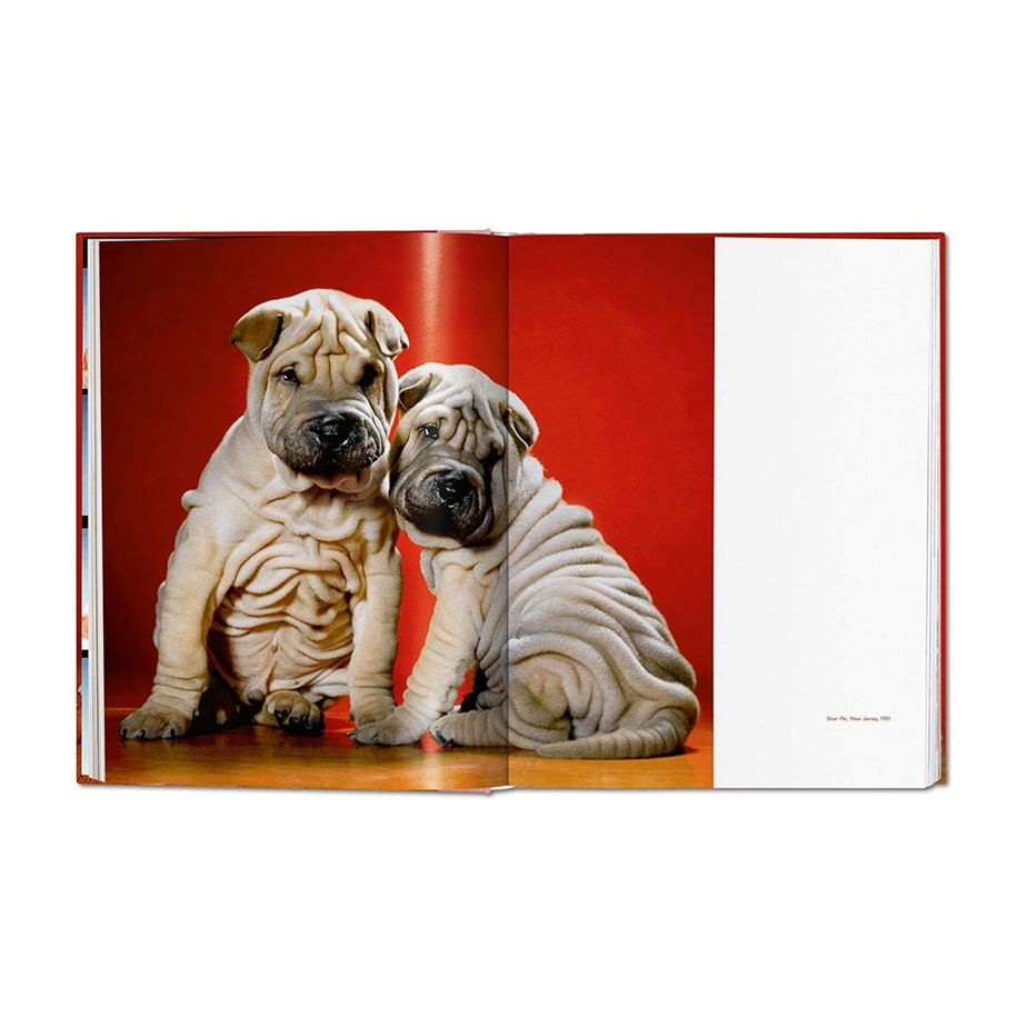 ספר DOGS. WALTER CHANDOHA. PHOTOGRAPHS 1941–1991